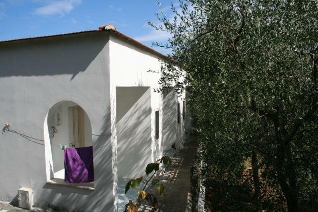 Casa Vacanze Pizzone Lägenhet Peschici Exteriör bild
